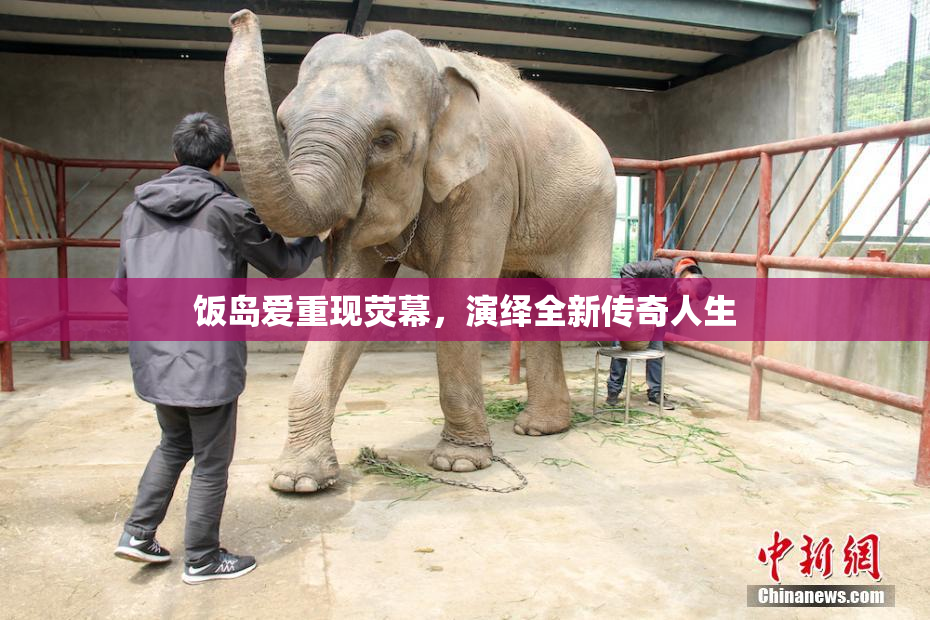 饭岛爱重现荧幕，演绎全新传奇人生