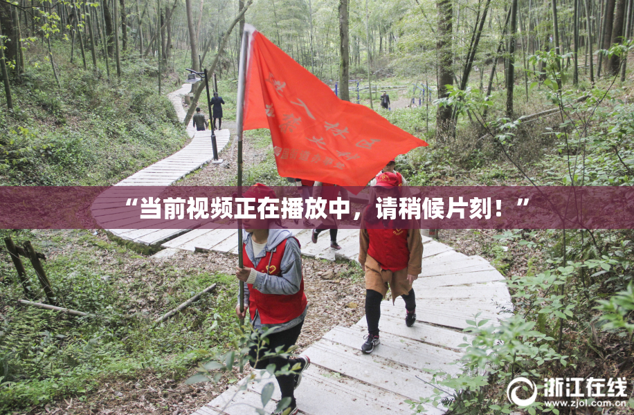 “当前视频正在播放中，请稍候片刻！”
