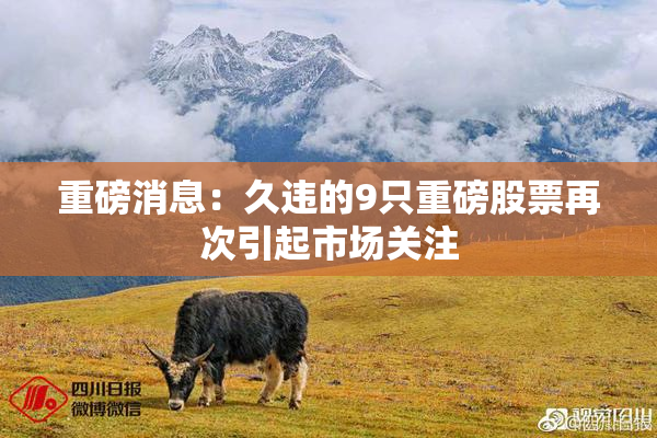 重磅消息：久违的9只重磅股票再次引起市场关注