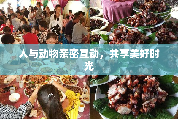 人与动物亲密互动，共享美好时光