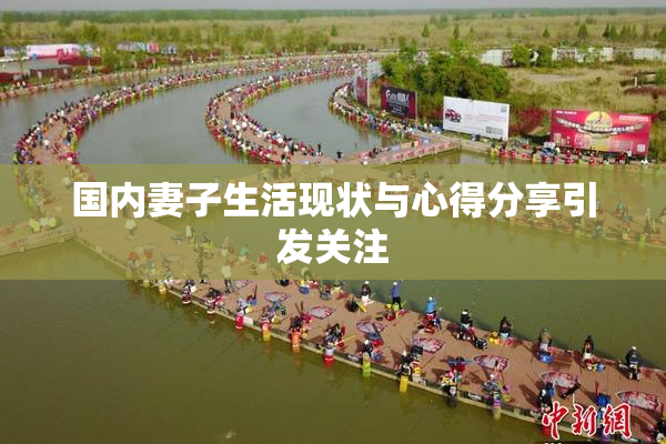 国内妻子生活现状与心得分享引发关注
