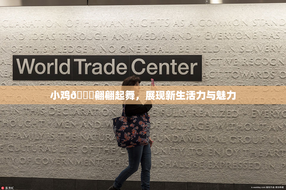 小鸡🐔翩翩起舞，展现新生活力与魅力