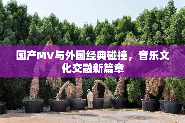 国产MV与外国经典碰撞，音乐文化交融新篇章