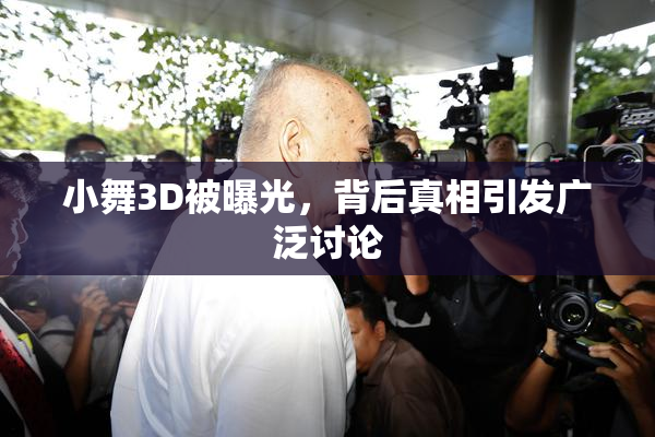 小舞3D被曝光，背后真相引发广泛讨论