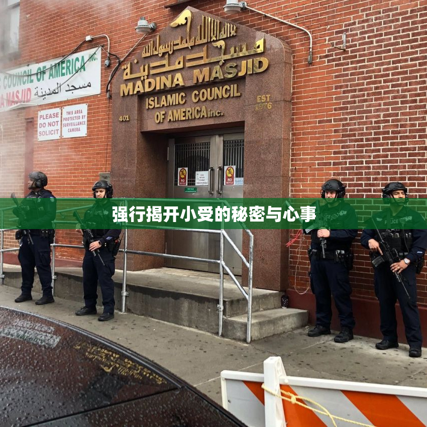 强行揭开小受的秘密与心事