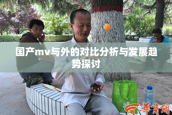国产mv与外的对比分析与发展趋势探讨