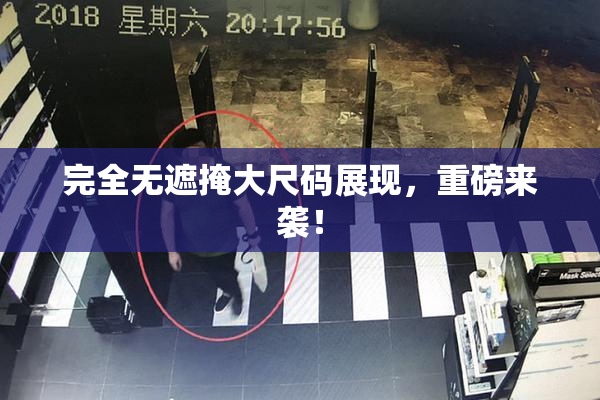 完全无遮掩大尺码展现，重磅来袭！