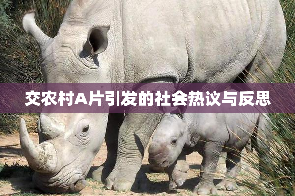 交农村A片引发的社会热议与反思
