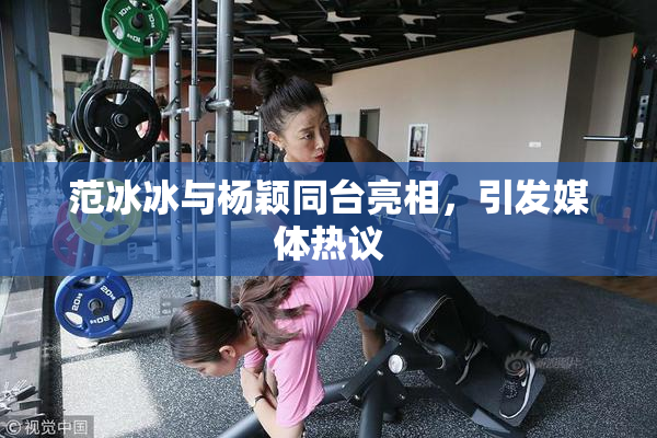 范冰冰与杨颖同台亮相，引发媒体热议