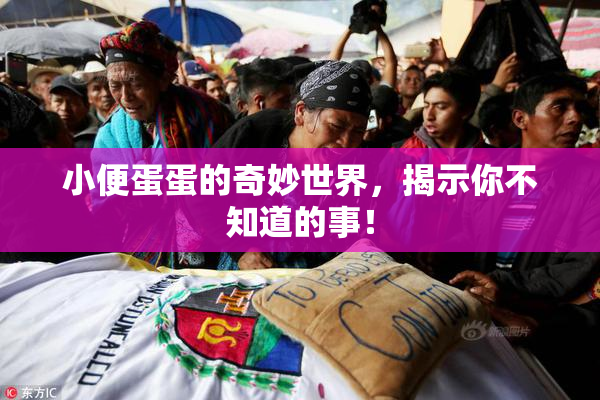 小便蛋蛋的奇妙世界，揭示你不知道的事！