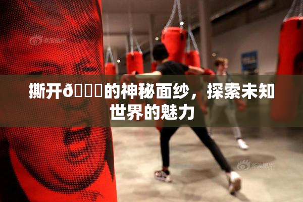 撕开👙的神秘面纱，探索未知世界的魅力