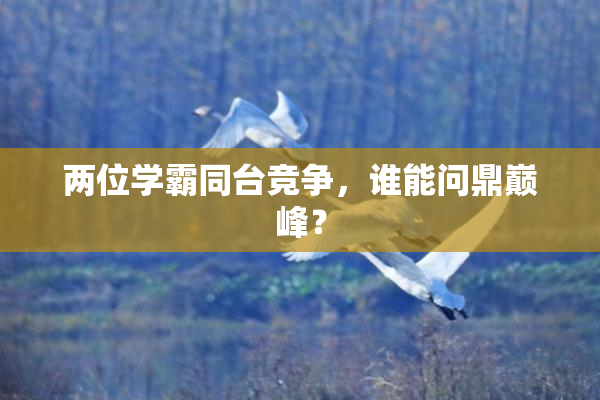 两位学霸同台竞争，谁能问鼎巅峰？