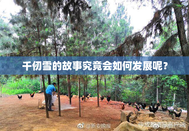 千仞雪的故事究竟会如何发展呢？