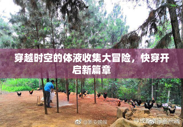 穿越时空的体液收集大冒险，快穿开启新篇章