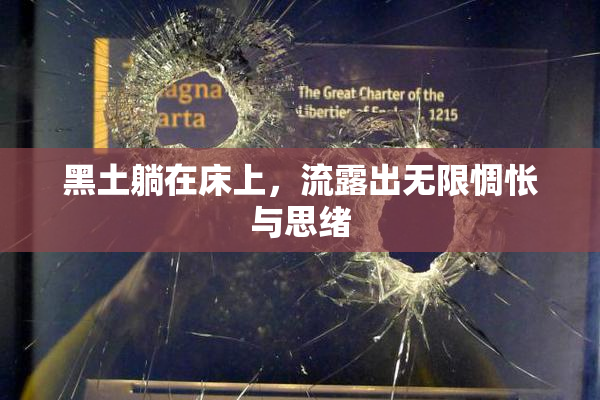 黑土躺在床上，流露出无限惆怅与思绪