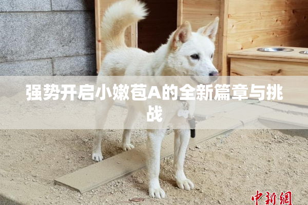强势开启小嫩苞A的全新篇章与挑战