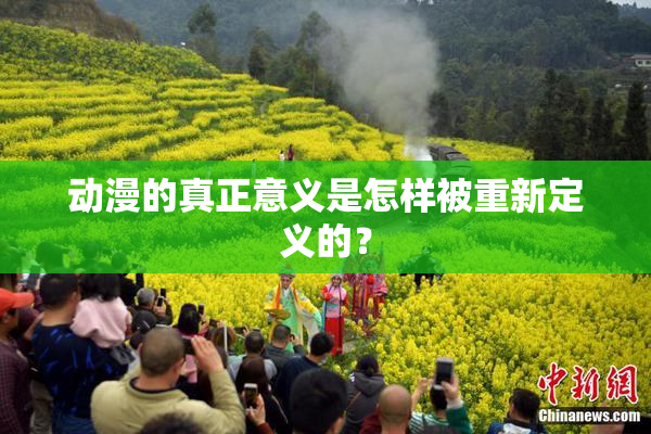 动漫的真正意义是怎样被重新定义的？