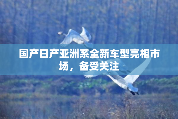 国产日产亚洲系全新车型亮相市场，备受关注