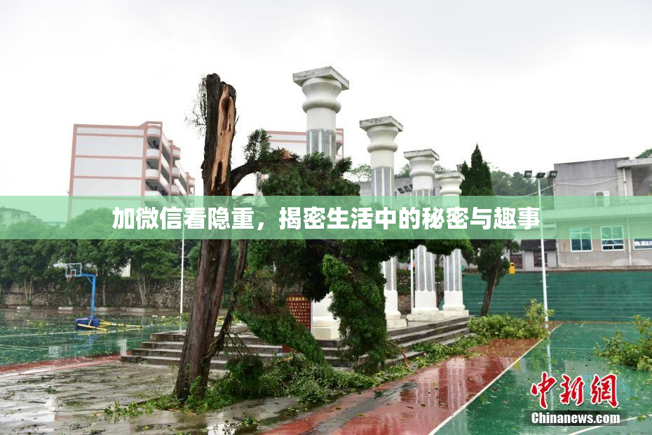 加微信看隐重，揭密生活中的秘密与趣事
