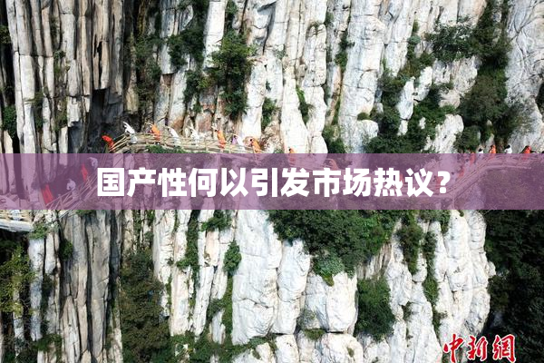 国产性何以引发市场热议？