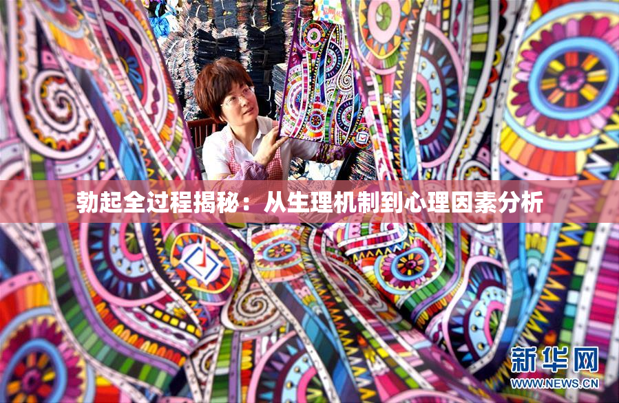 勃起全过程揭秘：从生理机制到心理因素分析