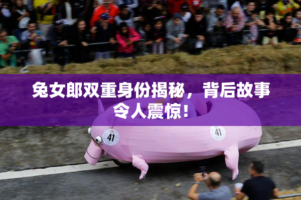 兔女郎双重身份揭秘，背后故事令人震惊！