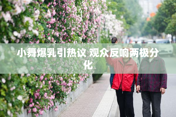 小舞爆乳引热议 观众反响两极分化