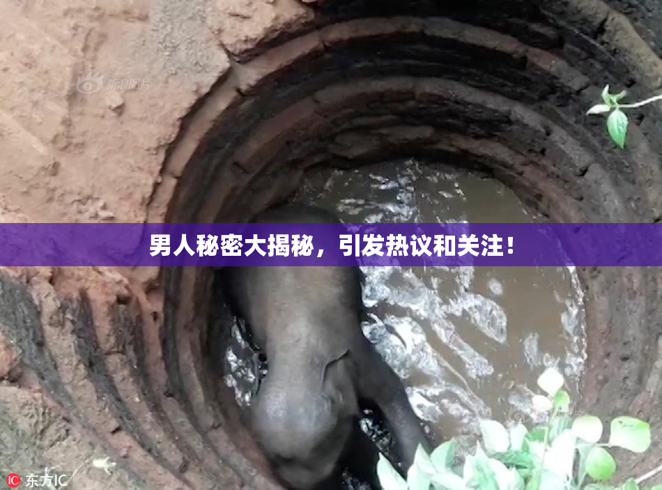 男人秘密大揭秘，引发热议和关注！