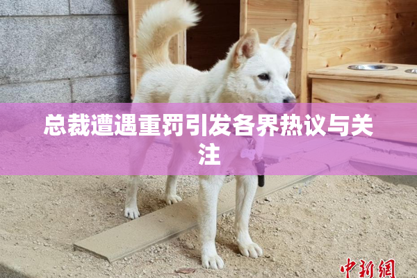总裁遭遇重罚引发各界热议与关注