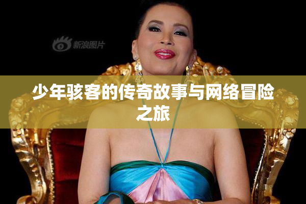 少年骇客的传奇故事与网络冒险之旅