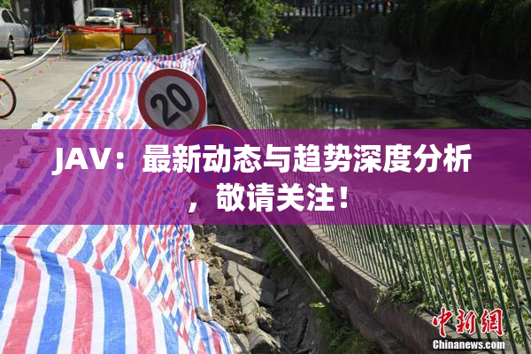 JAV：最新动态与趋势深度分析，敬请关注！