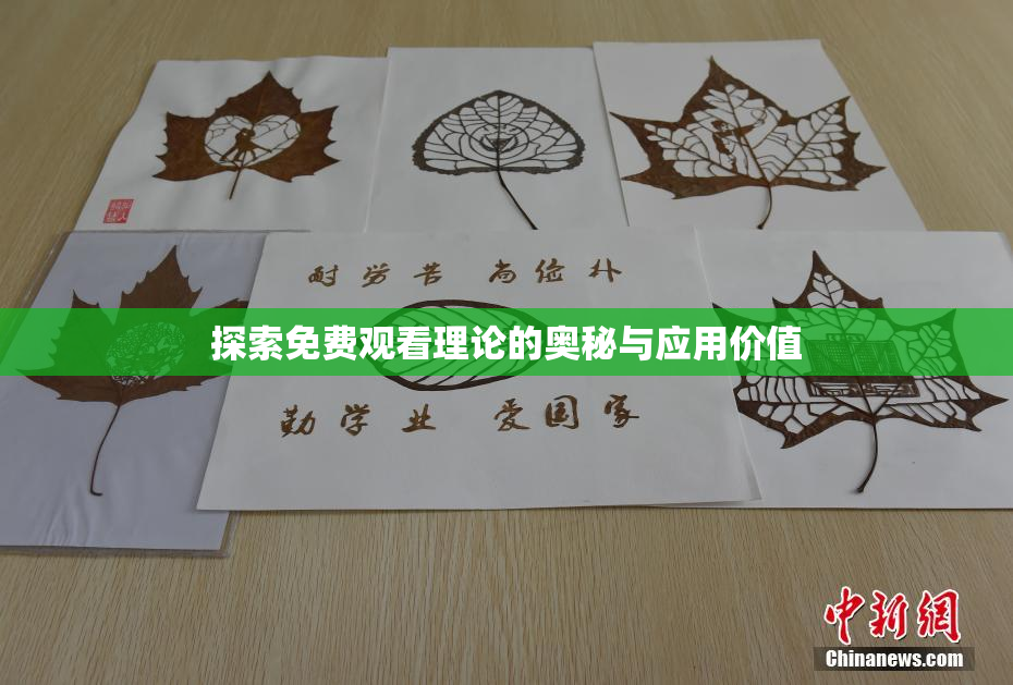 探索免费观看理论的奥秘与应用价值