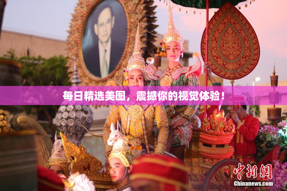 每日精选美图，震撼你的视觉体验！