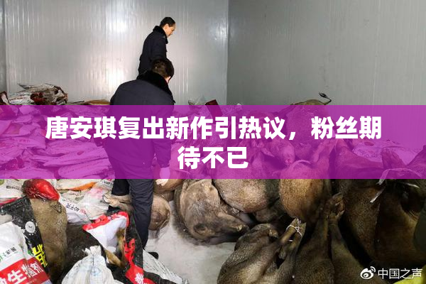 唐安琪复出新作引热议，粉丝期待不已