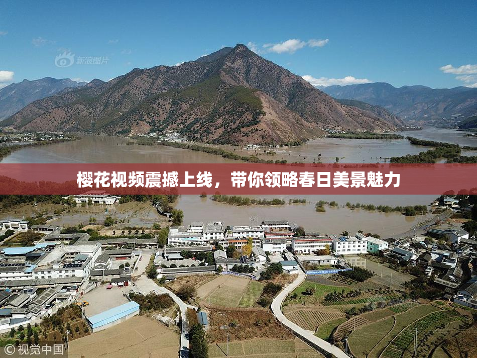 樱花视频震撼上线，带你领略春日美景魅力