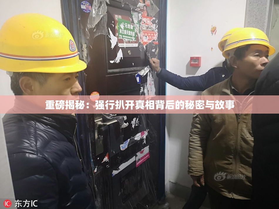 重磅揭秘：强行扒开真相背后的秘密与故事