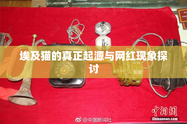 埃及猫的真正起源与网红现象探讨