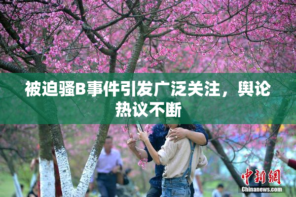 被迫骚B事件引发广泛关注，舆论热议不断