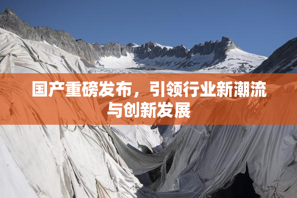 国产重磅发布，引领行业新潮流与创新发展