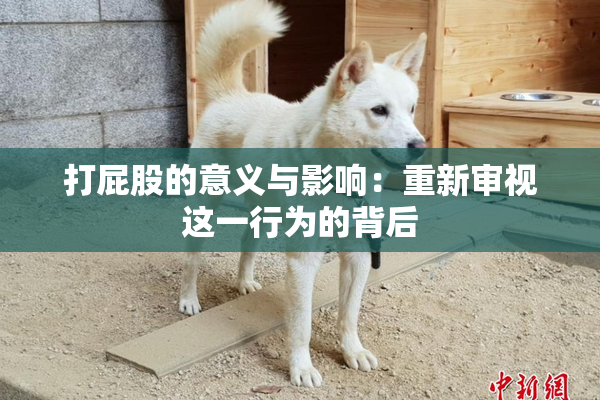 打屁股的意义与影响：重新审视这一行为的背后