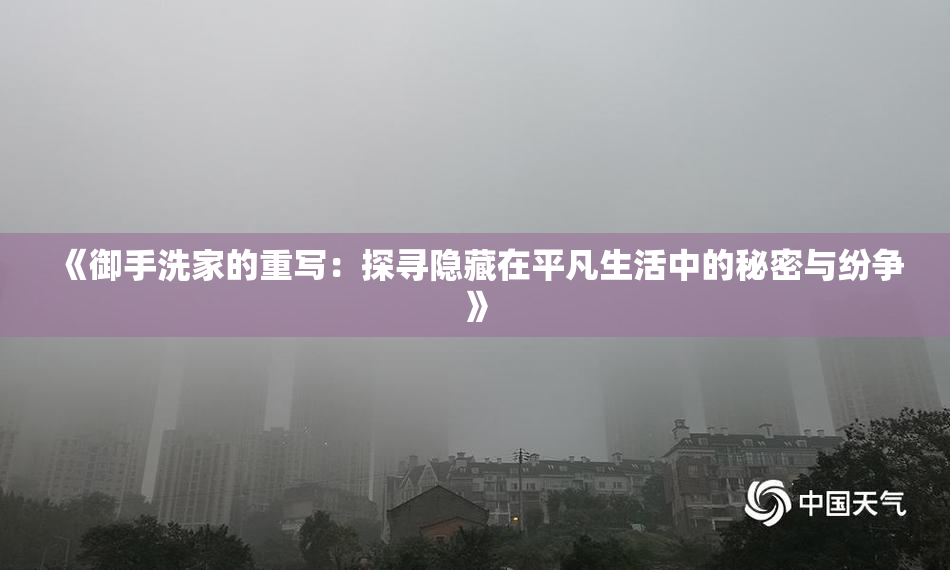 《御手洗家的重写：探寻隐藏在平凡生活中的秘密与纷争》