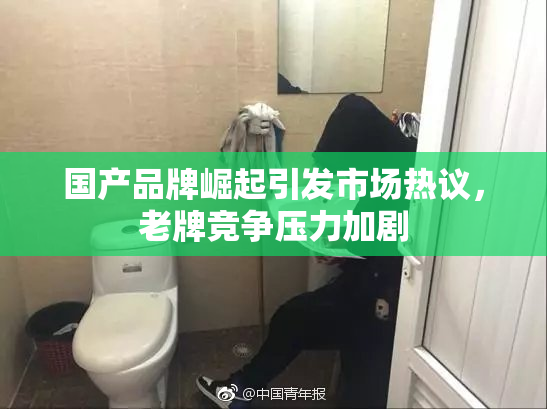 国产品牌崛起引发市场热议，老牌竞争压力加剧