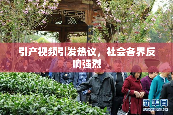 引产视频引发热议，社会各界反响强烈