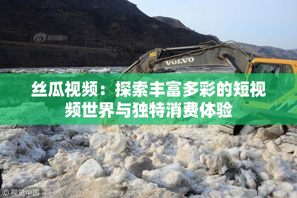 丝瓜视频：探索丰富多彩的短视频世界与独特消费体验