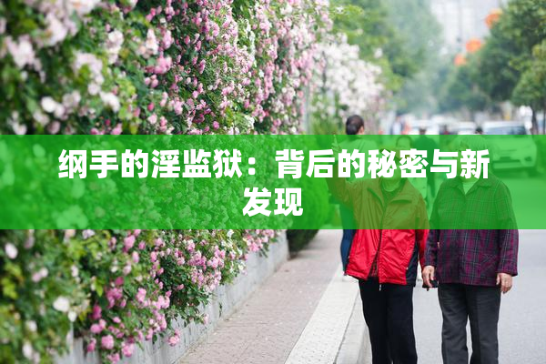 纲手的淫监狱：背后的秘密与新发现