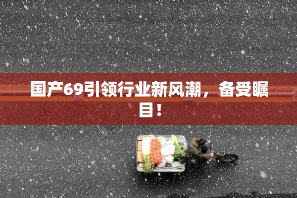 国产69引领行业新风潮，备受瞩目！