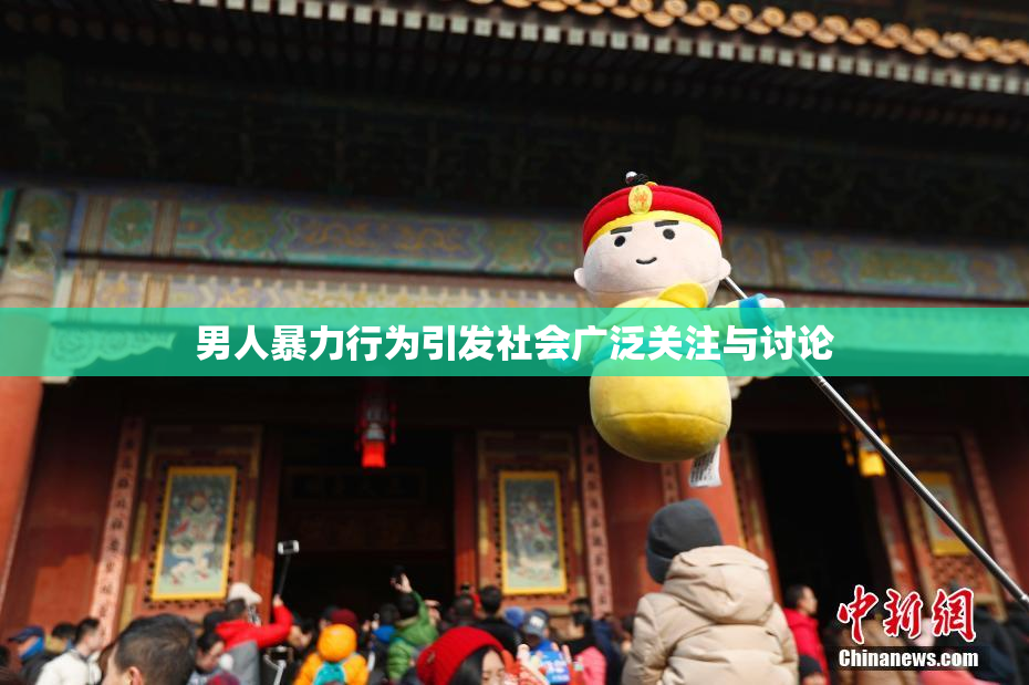 男人暴力行为引发社会广泛关注与讨论