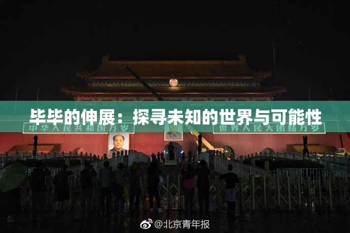 毕毕的伸展：探寻未知的世界与可能性