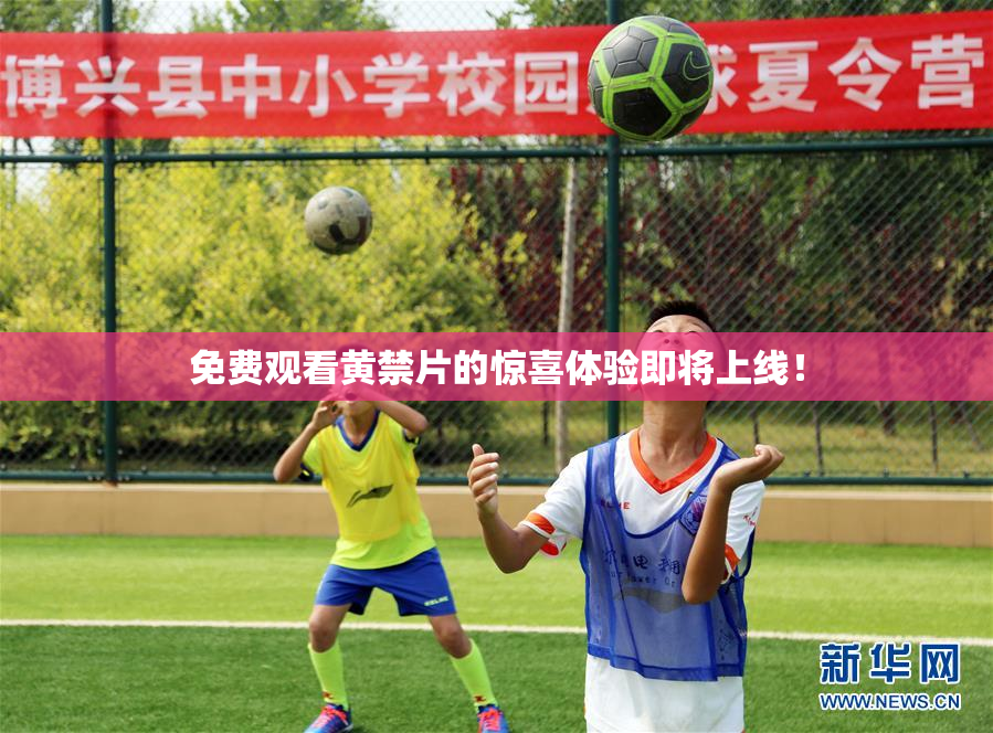 免费观看黄禁片的惊喜体验即将上线！