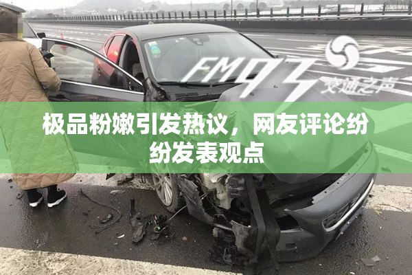 极品粉嫩引发热议，网友评论纷纷发表观点
